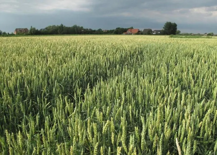 By Interhome Lägenhet *