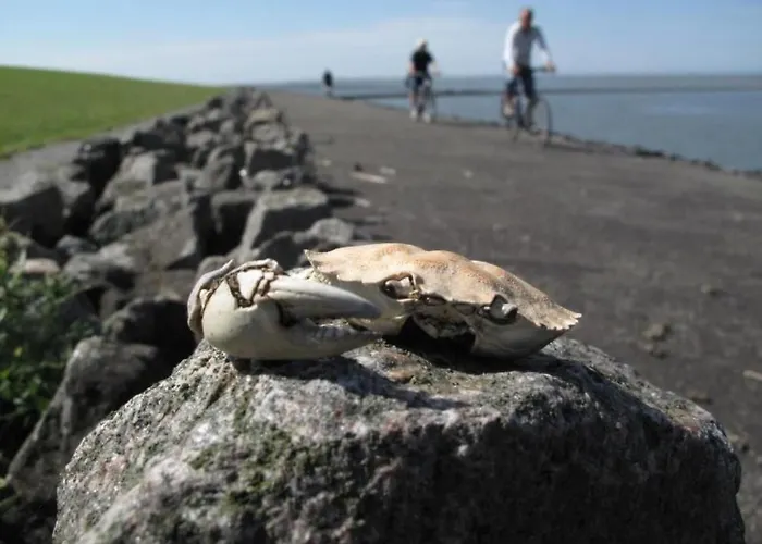 Lägenhet By Interhome