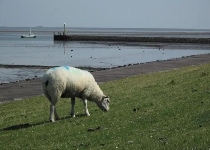 By Interhome Lägenhet